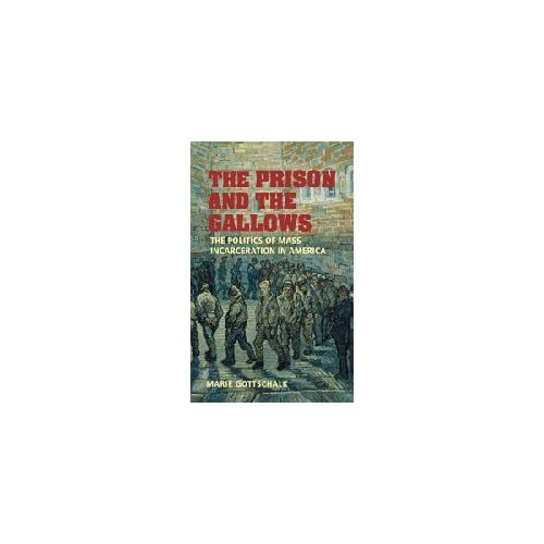 The Prison and the Gallows: The Politics of Mass Incarceration in America (Cambridge Studies in Criminology)