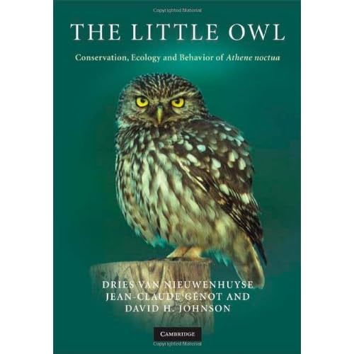 The Little Owl: Conservation, Ecology and Behavior of Athene Noctua