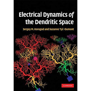 Electrical Dynamics of the Dendritic Space