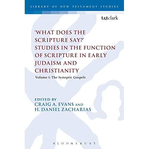 'What Does the Scripture Say?' Studies in the Function of Scripture in Early Judaism and Christianit: Volume 1: The Synoptic Gospels (The Library of New Testament Studies)