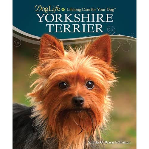 Yorkshire Terrier (Doglife)