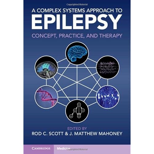 A Complex Systems Approach to Epilepsy: Concept, Practice, and Therapy