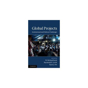 Global Projects: Institutional and Political Challenges