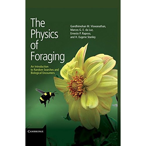 The Physics of Foraging