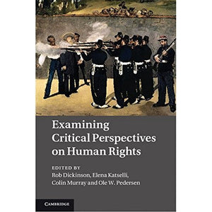 Examining Critical Perspectives on Human Rights