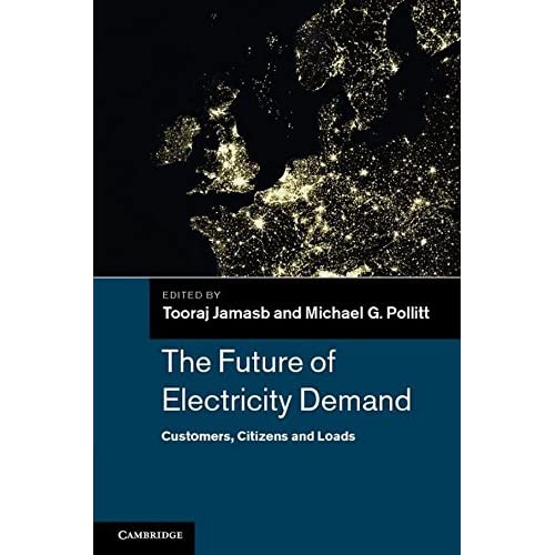 The Future of Electricity Demand: Customers, Citizens and Loads: 69 (Department of Applied Economics Occasional Papers)