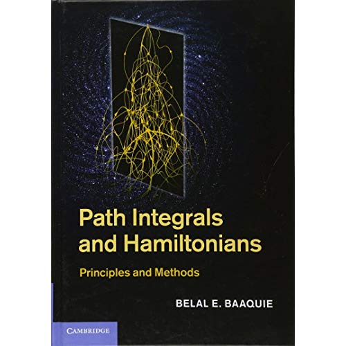 Path Integrals and Hamiltonians: Principles and Methods