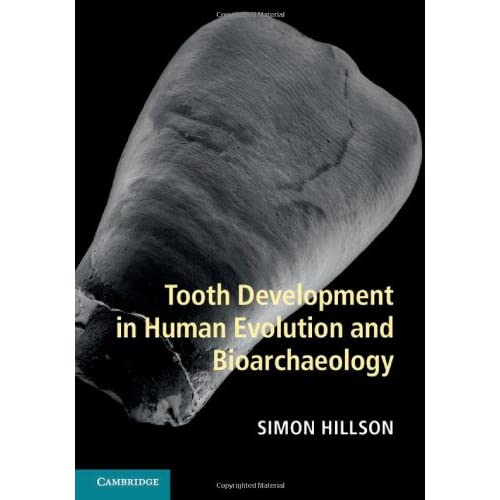 Tooth Development in Human Evolution and Bioarchaeology