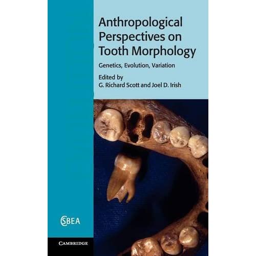 Anthropological Perspectives on Tooth Morphology: Genetics, Evolution, Variation: 66 (Cambridge Studies in Biological and Evolutionary Anthropology, Series Number 66)