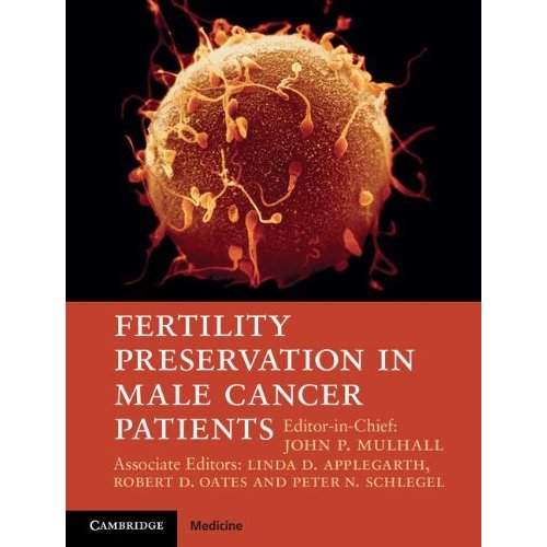 Fertility Preservation in Male Cancer Patients