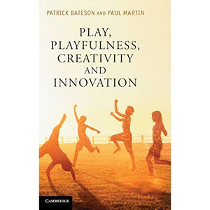 Play, Playfulness, Creativity and Innovation