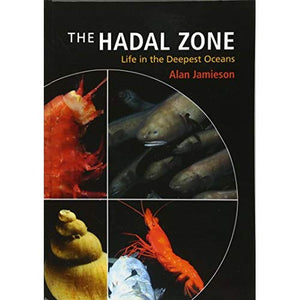 The Hadal Zone