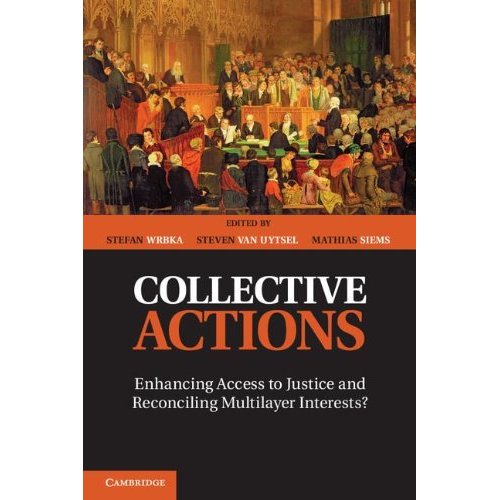 Collective Actions: Enhancing Access to Justice and Reconciling Multilayer Interests?