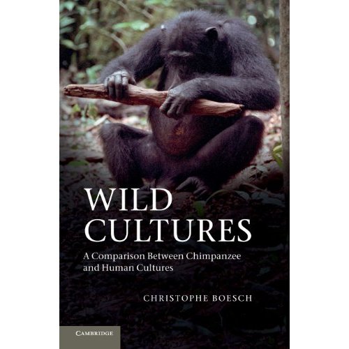 Wild Cultures: A Comparison between Chimpanzee and Human Cultures