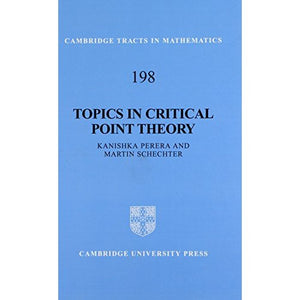 Topics in Critical Point Theory (Cambridge Tracts in Mathematics)