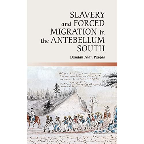 Slavery and Forced Migration in the Antebellum South (Cambridge Studies on the American South)