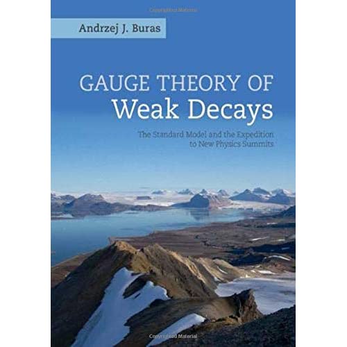 Gauge Theory of Weak Decays: The Standard Model and the Expedition to New Physics Summits (Cambridge Monographs on Particle Physics, Nuclear Physics an)