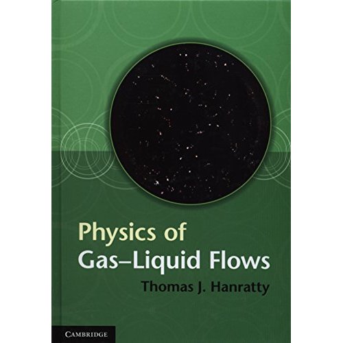 Physics of Gas-Liquid Flows