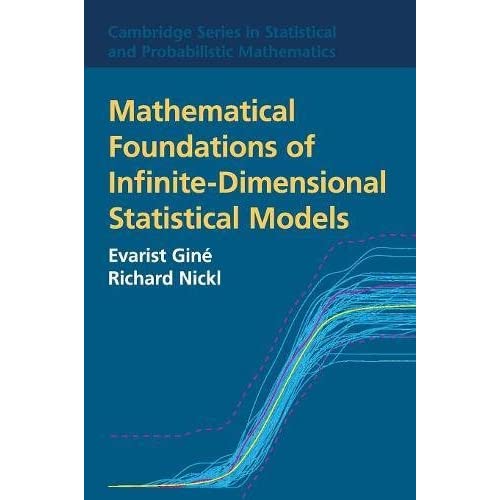 Mathematical Foundations of Infinite-Dimensional Statistical Models (Cambridge Series in Statistical and Probabilistic Mathematics)