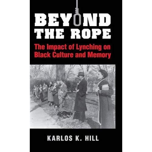 Beyond the Rope: The Impact of Lynching on Black Culture and Memory (Cambridge Studies on the American South)