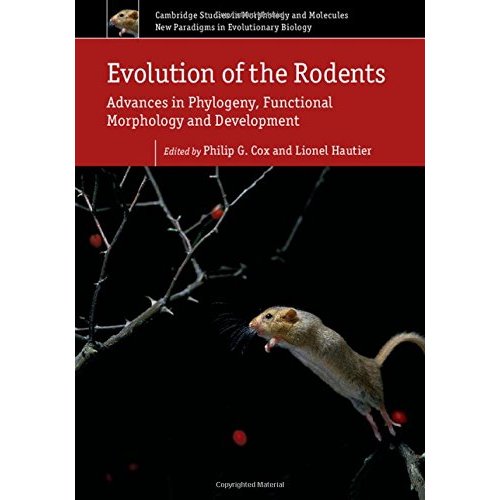 Evolution of the Rodents: Volume 5: Advances in Phylogeny, Functional Morphology and Development (Cambridge Studies in Morphology and Molecules: New Paradigms in Evolutionary Bio, Series Number 5)