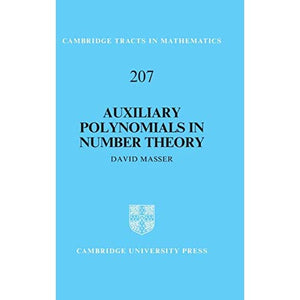 Auxiliary Polynomials in Number Theory: 207 (Cambridge Tracts in Mathematics, Series Number 207)