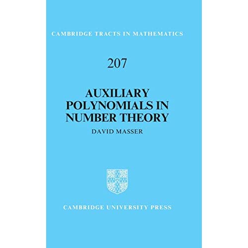 Auxiliary Polynomials in Number Theory: 207 (Cambridge Tracts in Mathematics, Series Number 207)