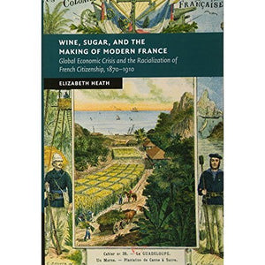 Wine, Sugar, and the Making of Modern France: Global Economic Crisis and the Racialization of French Citizenship, 1870–1910 (New Studies in European History)