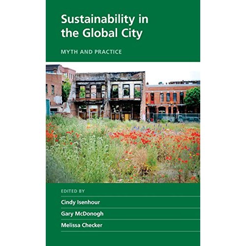 Sustainability in the Global City (New Directions in Sustainability and Society)