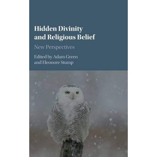 Hidden Divinity and Religious Belief: New Perspectives