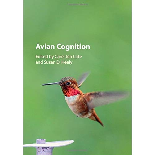 Avian Cognition