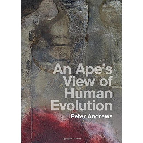 An Ape's View of Human Evolution