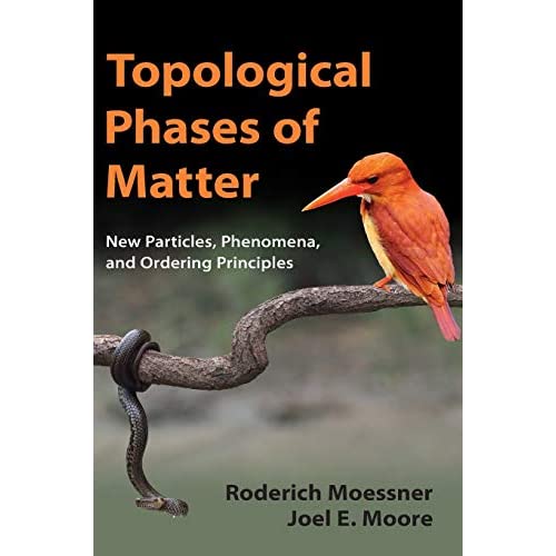 Topological Phases of Matter