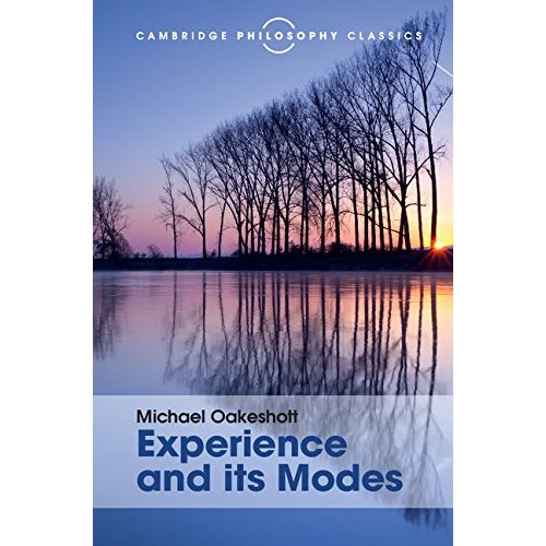 Experience and its Modes (Cambridge Philosophy Classics)