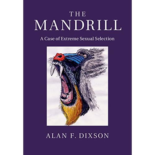 The Mandrill: A Case of Extreme Sexual Selection