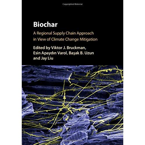 Biochar: A Regional Supply Chain Approach in View of Climate Change Mitigation