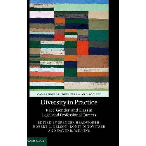 Diversity in Practice: Race, Gender, and Class in Legal and Professional Careers (Cambridge Studies in Law and Society)