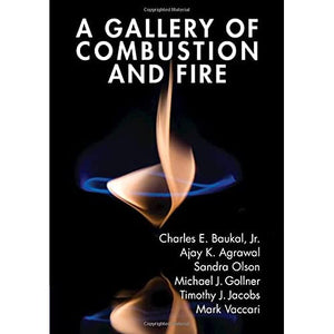 A Gallery of Combustion and Fire