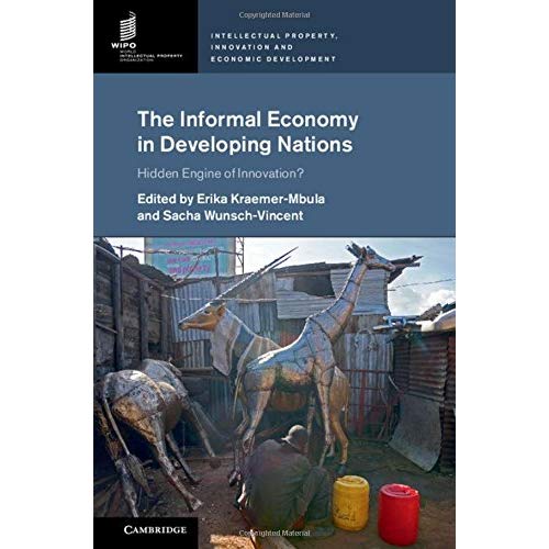 The Informal Economy in Developing Nations (Intellectual Property, Innovation and Economic Development)