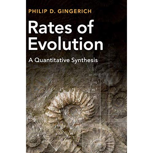 Rates of Evolution: A Quantitative Synthesis