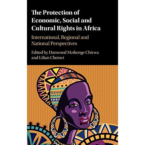 The Protection of Economic, Social and Cultural Rights in Africa: International, Regional and National Perspectives