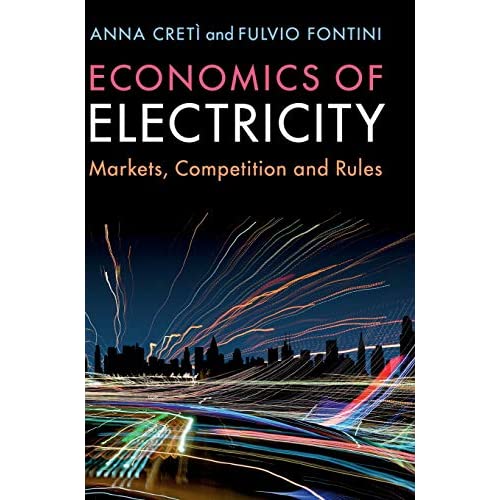 Economics of Electricity: Markets, Competition and Rules