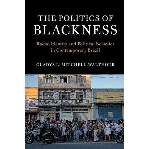 The Politics of Blackness: Racial Identity and Political Behavior in Contemporary Brazil (Cambridge Studies in Stratification Economics: Economics and Social Identity)