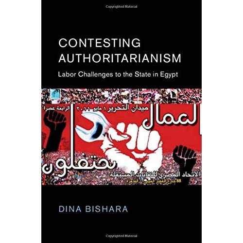 Contesting Authoritarianism (Cambridge Middle East Studies)