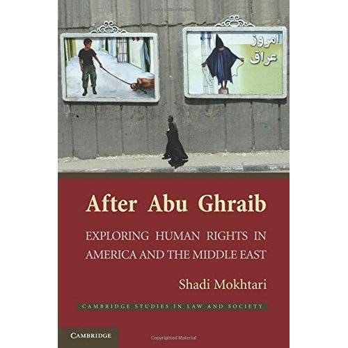 After Abu Ghraib (Cambridge Studies in Law and Society)