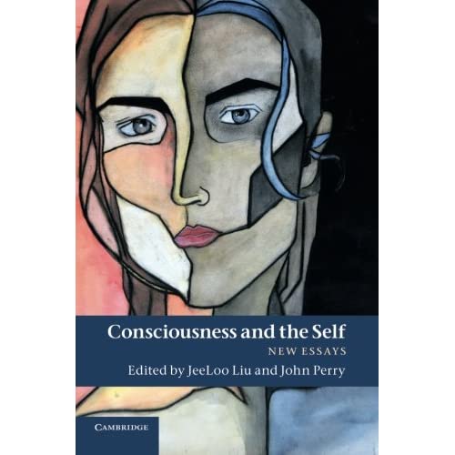 Consciousness and the Self: New Essays