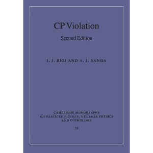 CP Violation