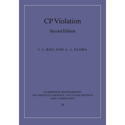 CP Violation