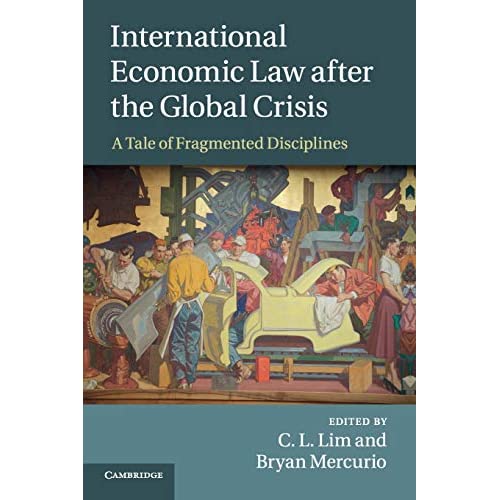 International Economic Law after the Global Crisis: A Tale of Fragmented Disciplines