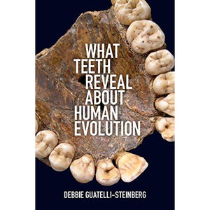 What Teeth Reveal about Human Evolution